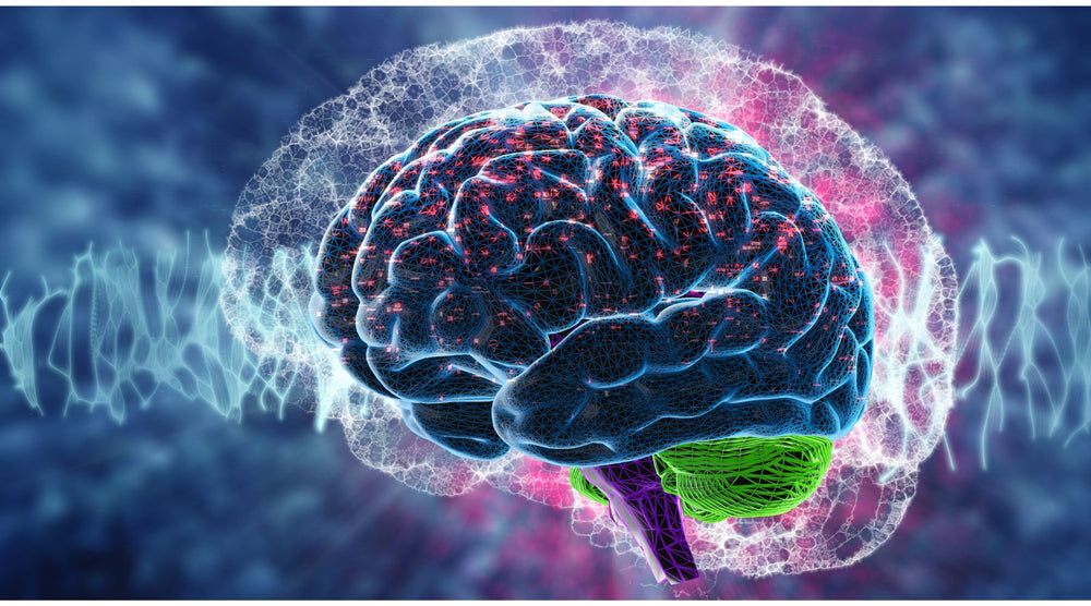 What Is Brainwave Entrainment?