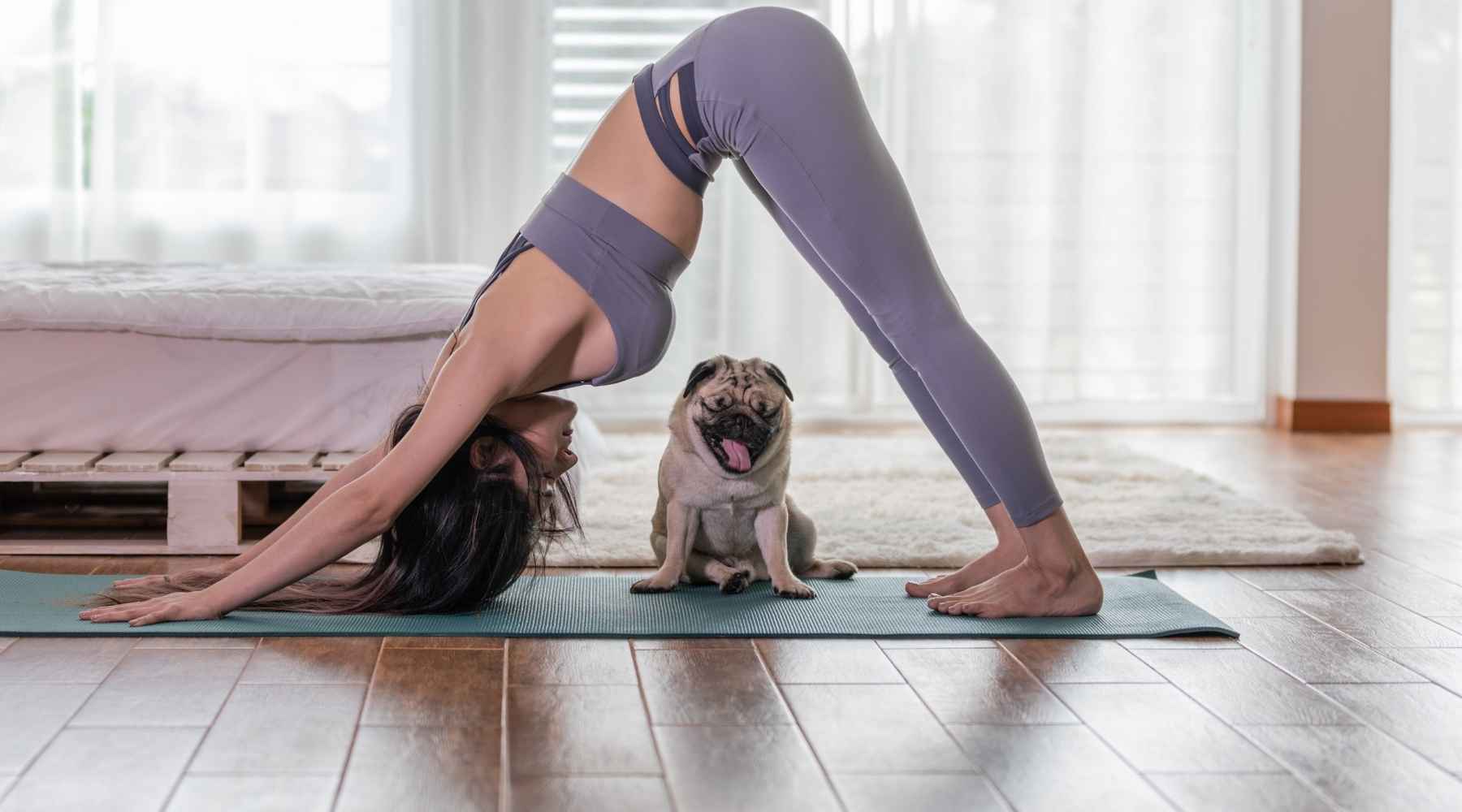 Why Downward Dog is the Ultimate Yoga Pose - Feed Your Spirit