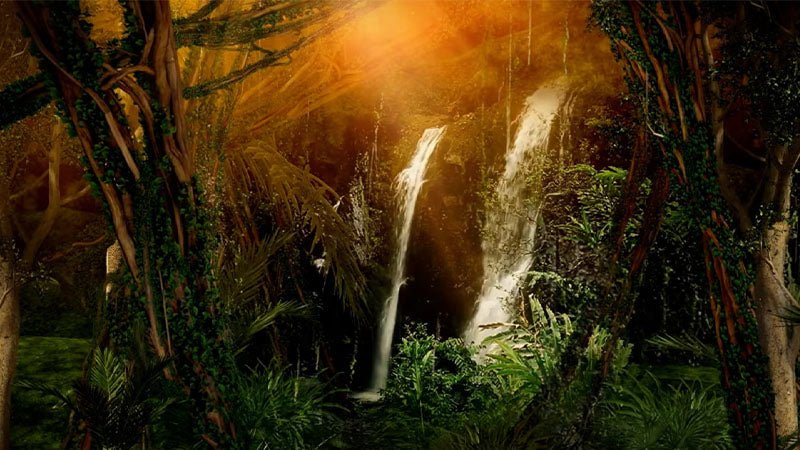 Magical Rainforest Music Meditation - Feed Your Spirit